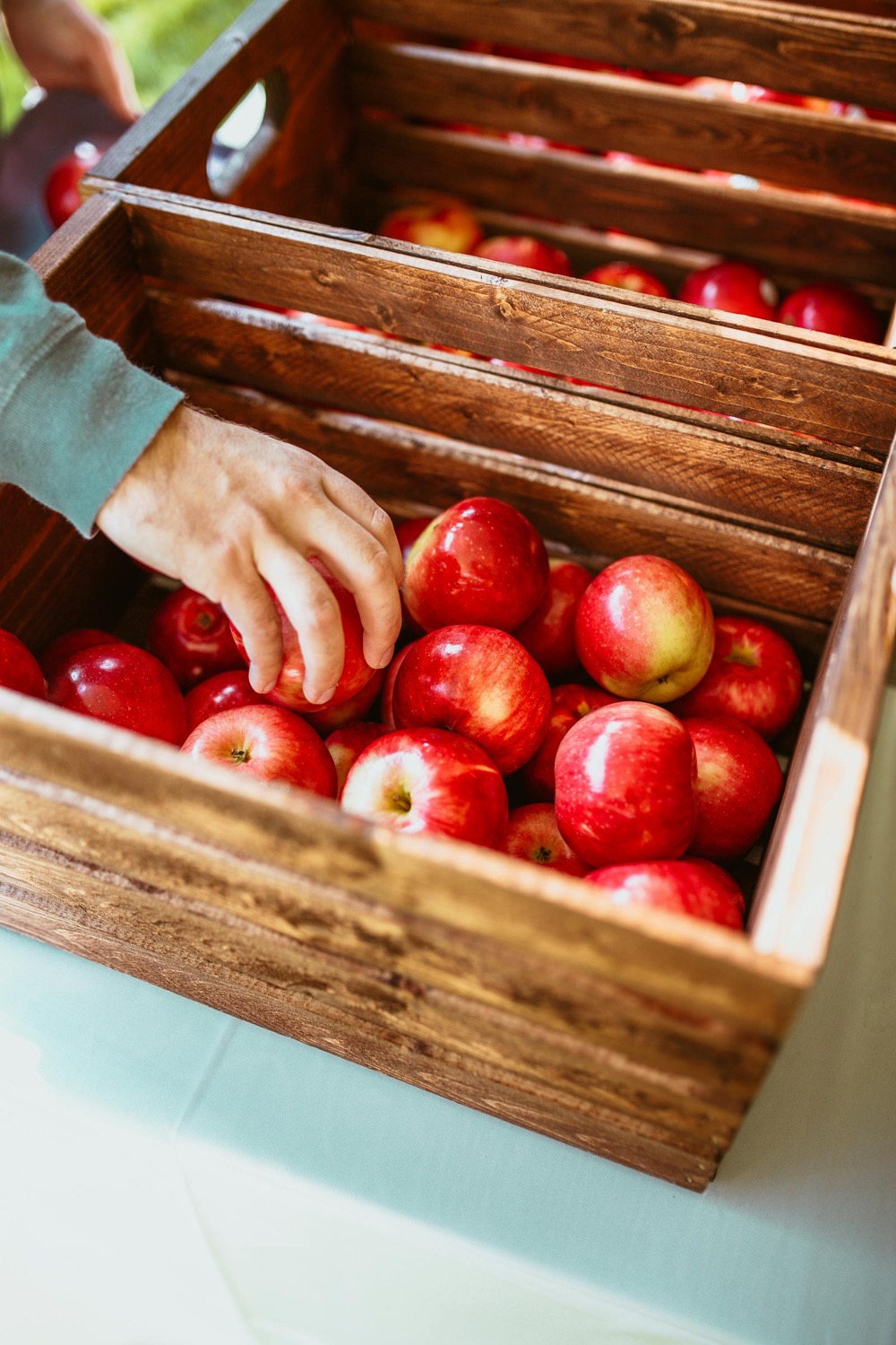 Sourcing fresh produce from growers